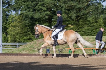 Bild 97 - Pony Akademie Turnier